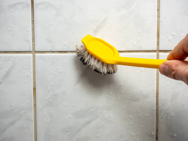 Best Mold Cleaning Services  in Violet, LA