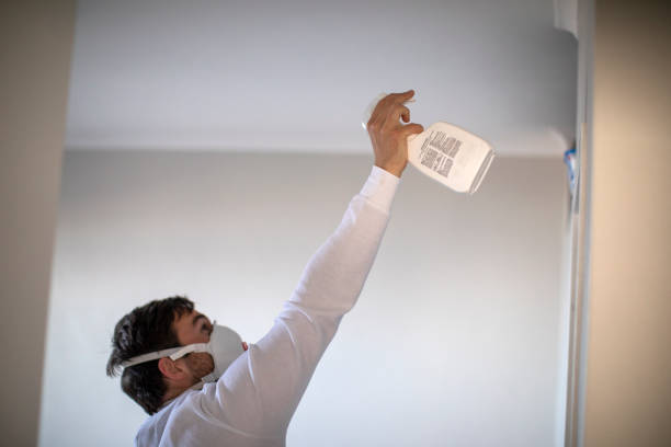 Best Emergency Mold Removal  in Violet, LA