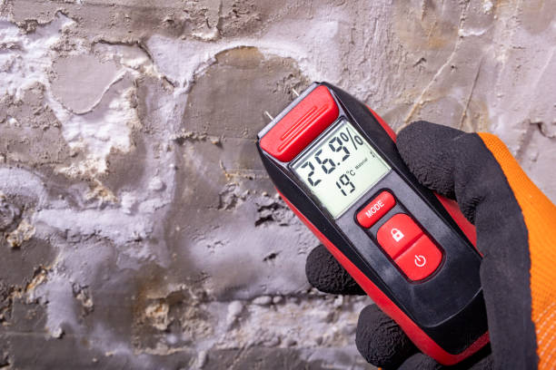 Best Crawl Space Mold Removal  in Violet, LA